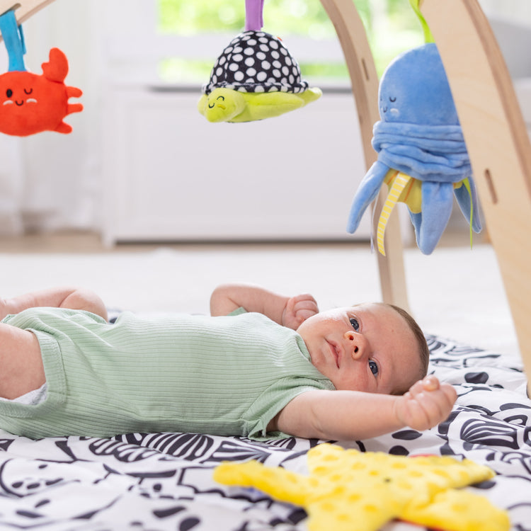 Ocean Easy-Fold Play Gym